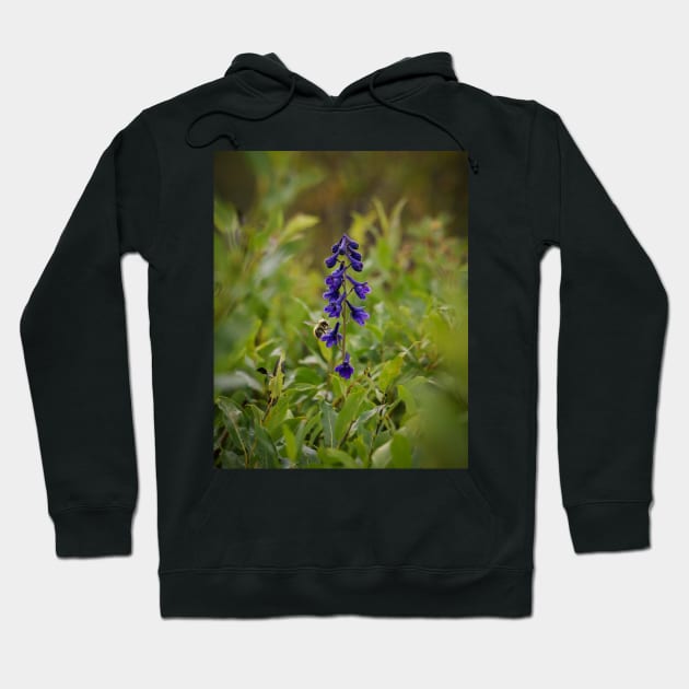 Sierra Larkspur Hoodie by jonesing